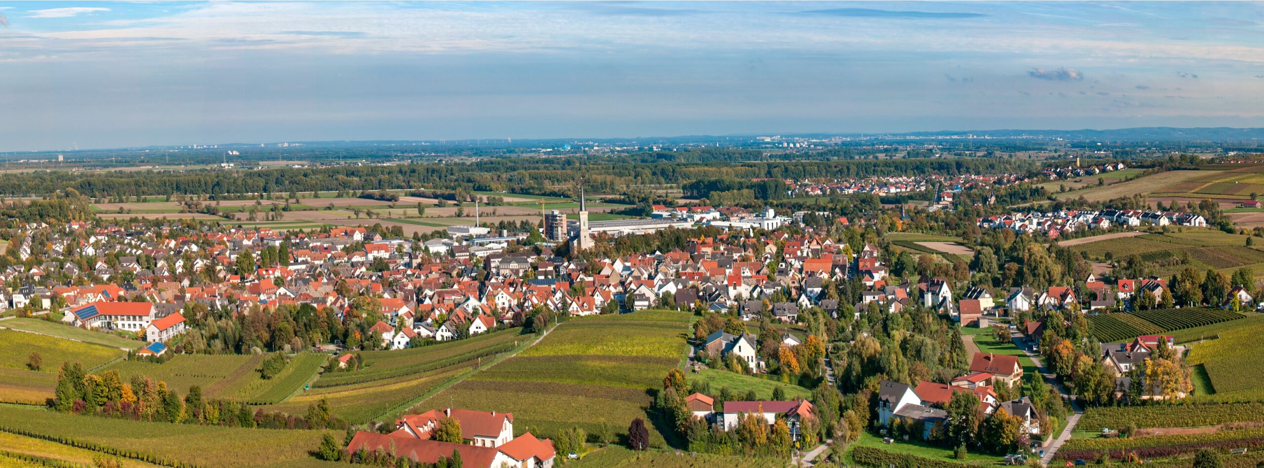 Panoramaansicht Bodenheim